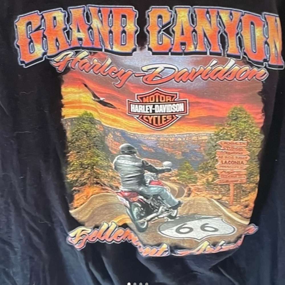 Harley Davidson T Shirt #16